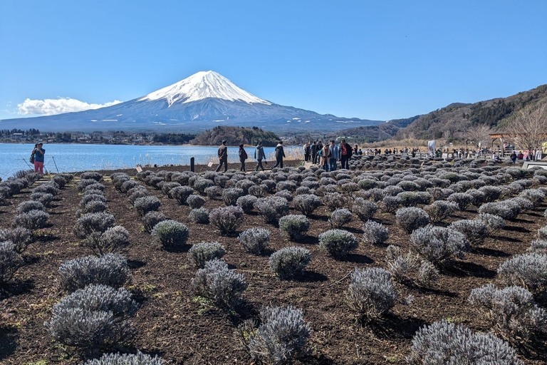 Depuis Tokyo : Excursion privée d'une journée au Mont Fuji et au lac Kawaguchiko