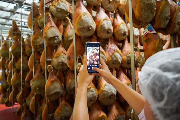 From Bologna: Parma, Parmigiano, and Prosciutto Tour by 1st-Class Train Parmesan and Prosciutto PDO Tour from Parma: a smart experience!