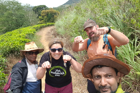 Hantana Mountain Range Pekoe Trail Full Day Hike from Kandy