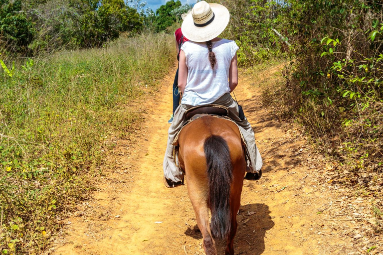 Azores: Sete Cidades Mountain Horseback Ride