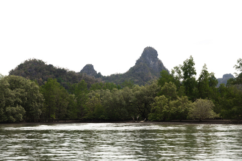 Langkawi Koninklijke Mangrove Tour met snorkelarrangementKleine boot (8 personen)