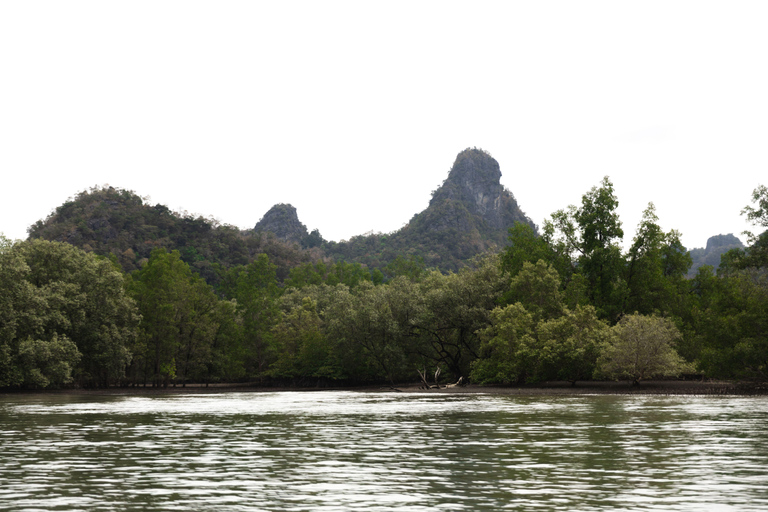 Langkawi Koninklijke Mangrove Tour met snorkelarrangementKleine boot (8 personen)