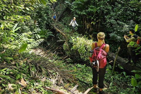 Full Day Adventure Corcovado