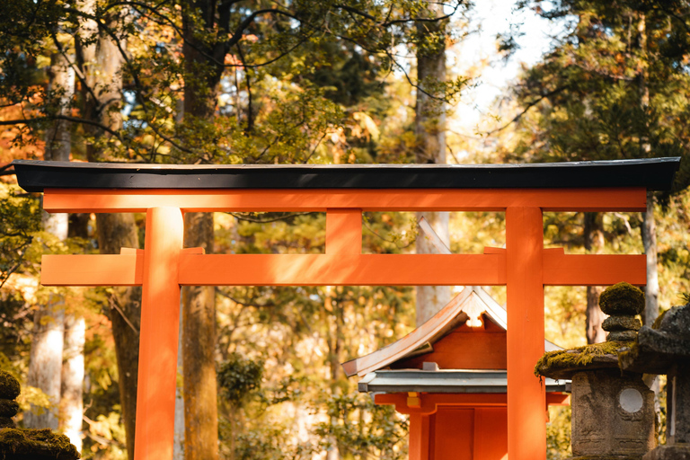 Excursion d&#039;une journée à Osaka, Nara et Kyoto avec chauffeur parlant anglais