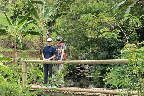 Tour particular aos terraços de arroz do Templo Selogriyo com almoço localDe Borobudur: Terraços de arroz Selogriyo e colheita de café