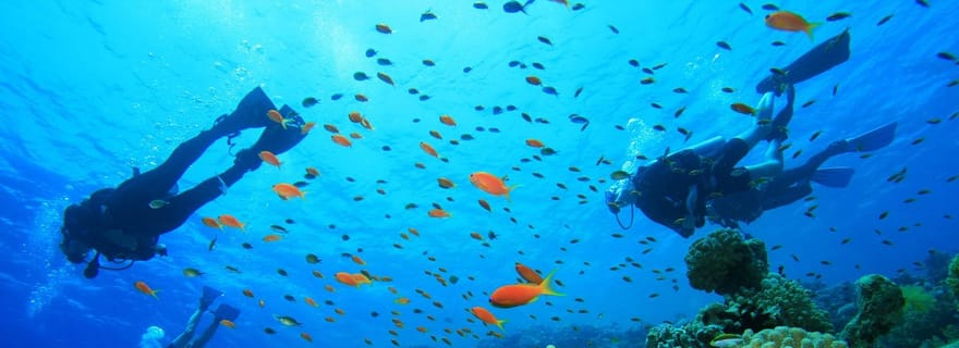 plongée sur le rivage de la mer rouge avec prise en charge et collations