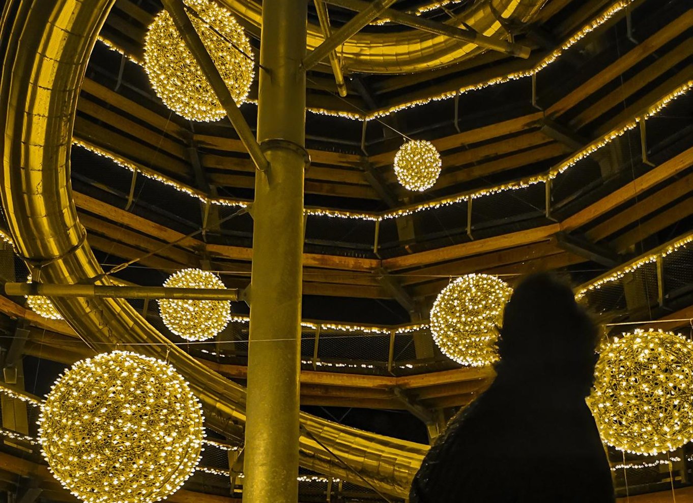 Schwarzwald: Treetop Walk & Lookout Tower Experience