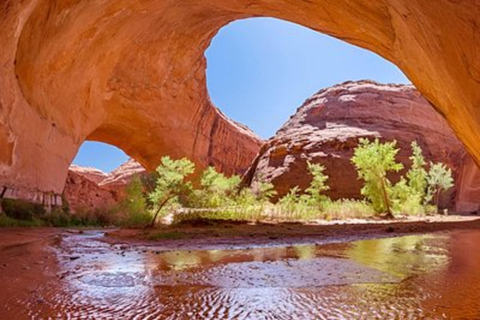 Phoenix Day Trip to Page Horseshoe Bend and Glen Canyon