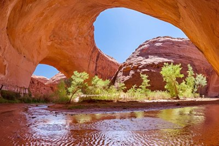 Phoenix Day Trip to Page Horseshoe Bend and Glen Canyon