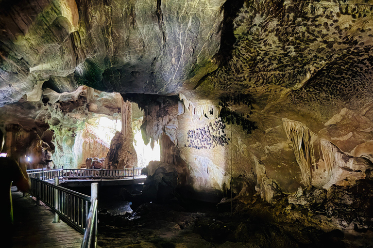 Shared Langkawi Mangrover River Cruise / Snorkelling Shared Mangrove Tour +Snorkelling +Lunch 4 Hours