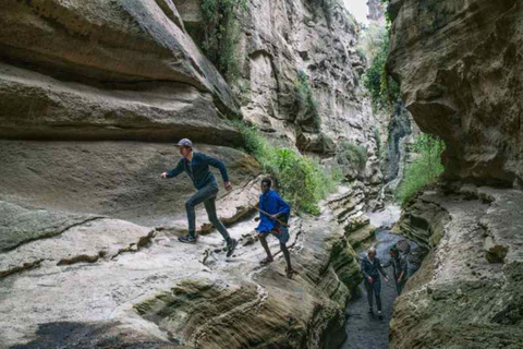 Excursión de un día al Monte Longonot desde Nairobi