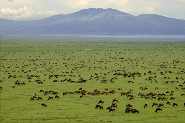 7-Tage-Klassiker der nördlichen Rundreise Safari7-Tage-Klassiker der nördlichen Rundreise