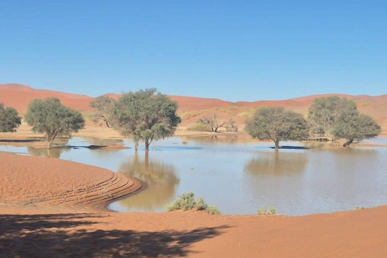 Namibia: 6-Day Namibia Safari & Desert Adventure Tour