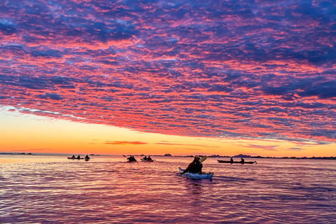 إيجوم: جولة جزر لوفوتن منتصف الليل صن كاياك