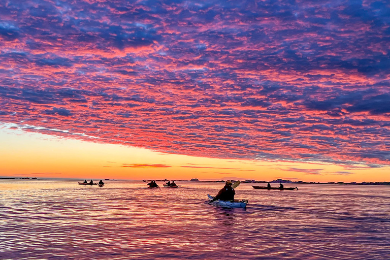 إيجوم: جولة جزر لوفوتن منتصف الليل صن كاياك