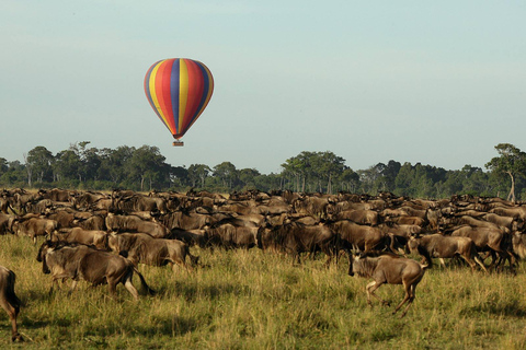 Nairobi: 6Days Maasai Mara, Nakuru and Amboseli Group Safari Accomodation Upgrade
