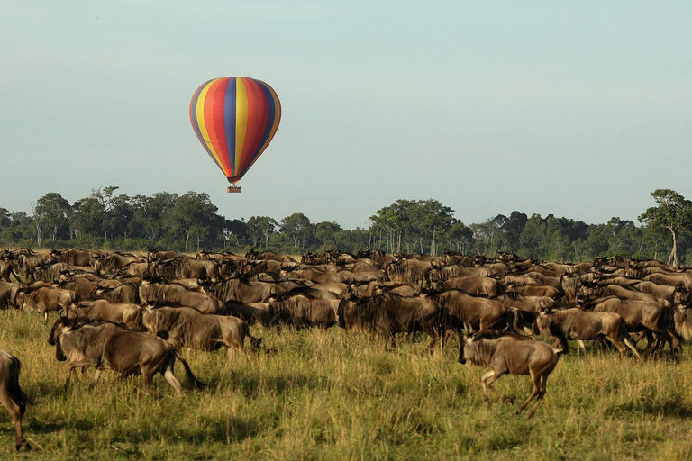 Nairobi: 6Days Maasai Mara, Nakuru and Amboseli Group Safari Accomodation Upgrade