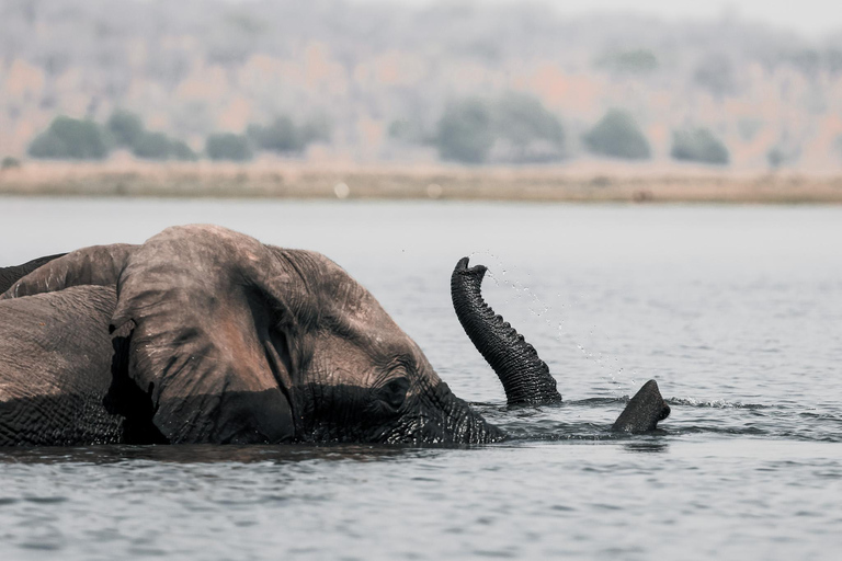 Chobe River Private 3 Hour Boat Safari
