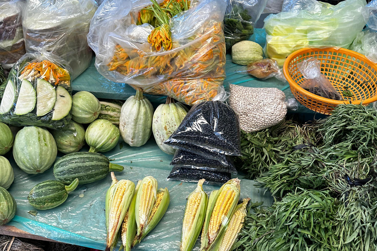 Oaxaca: From Tourist Markets to the Commercial Heart of Oaxaca