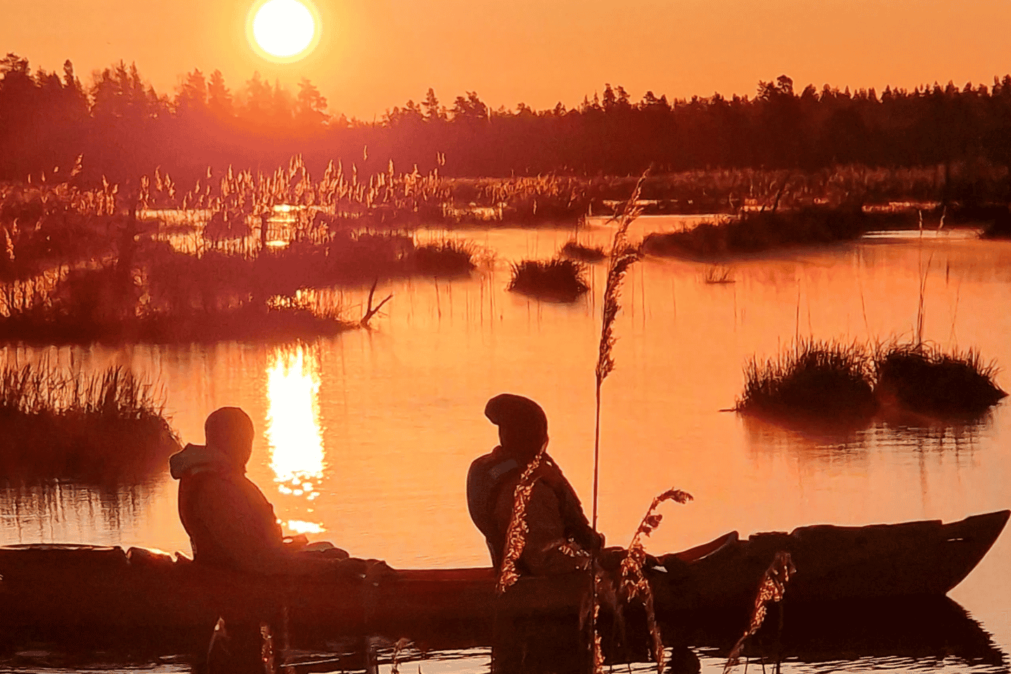 Da Riga: Tour in Kayak o Paddleboard all'Alba con Trasporto Incluso