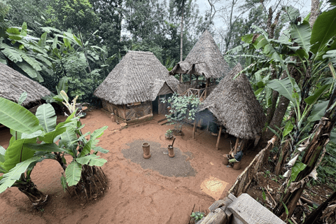 Moshi : Cascades de Materuni et visite de la plantation de café avec déjeunerMoshi : visite des chutes de Materuni et d&#039;une plantation de café avec déjeuner
