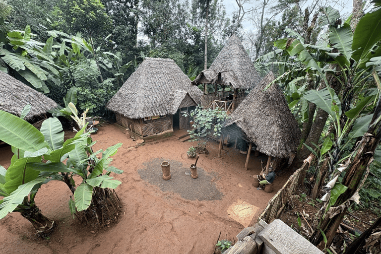 Moshi : Cascades de Materuni et visite de la plantation de café avec déjeunerMoshi : visite des chutes de Materuni et d&#039;une plantation de café avec déjeuner