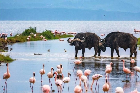 Parc national du lac Nakuru