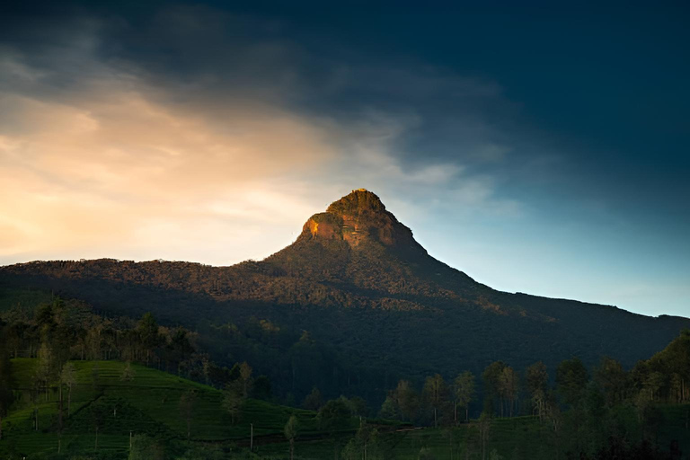 Kandy: Adam's Peak Guided Hike with Snacks and Pickup Nuwaraeliya: Adam's Peak Guided Hike with Snacks and Pickup
