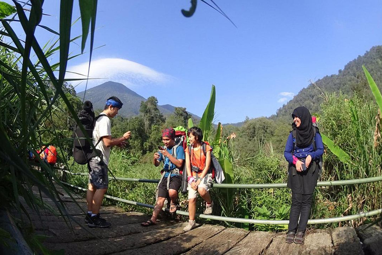 Mount Gede: 2-Day Hiking and Camping Adventure from Jakarta Thrilling Adventure with Mount Gede Hike and Camp 2D1N Tour!