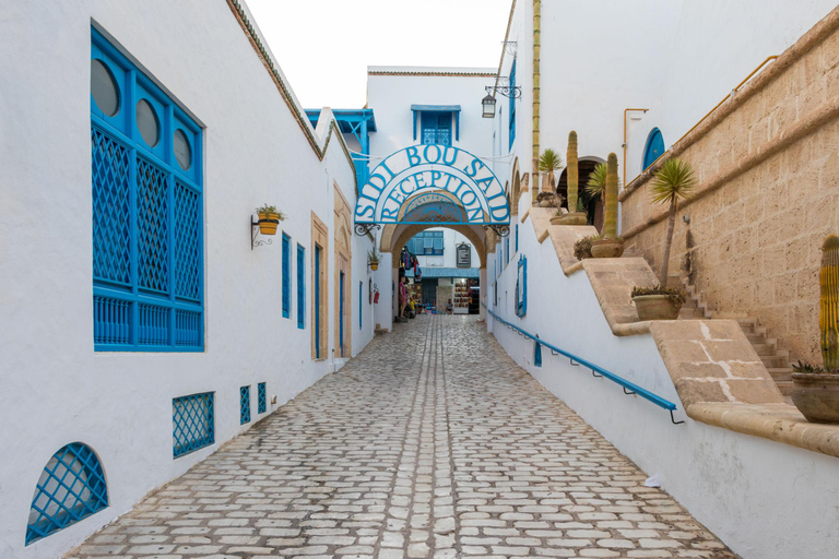 From Hammamet: Cap Bon Guided Tour with Wine Tasting & Lunch