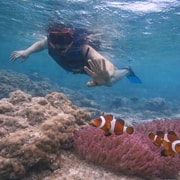 From Singapore : Private Batam Island Snorkeling and Canoe