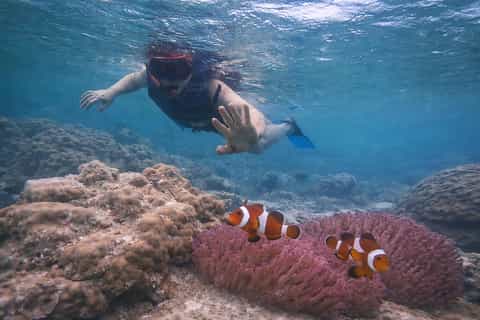 From Singapore : Private Batam Island Snorkeling and Canoe - Image 3