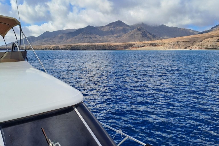 Delfin- und Walbeobachtung mit LuxusyachtFuerteventura: Luxuriöse Yachttour mit Schnorcheln