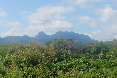 Gezichten van St.Lucia. Unieke kenmerken van mijn geweldige huis.