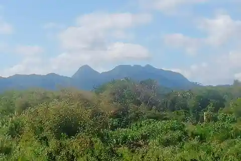 Faces Of St.Lucia. Unique Features of My Awesome Home.