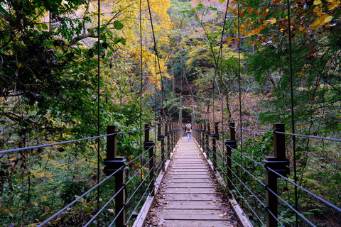 Abenteuer Mount Takao: Entdecke Natur und Tradition in Tokio