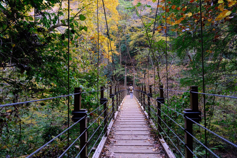 Äventyr i Mount Takao: Upptäck natur och tradition i Tokyo