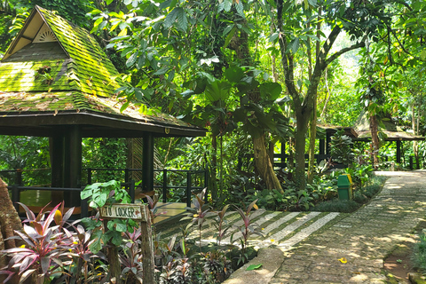 Hidden Valley Springs | Lunch | Taal Volcano Viewing (2in1)