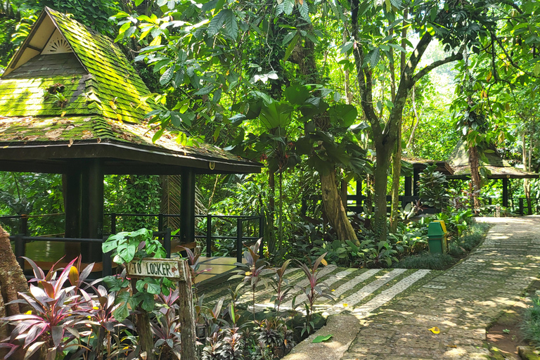 Hidden Valley Springs | Lunch | Taal Volcano Viewing (2in1)