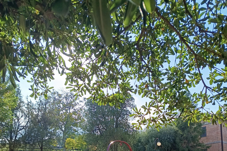 Etna södra tur med lätt vandring vinprovning och lunch