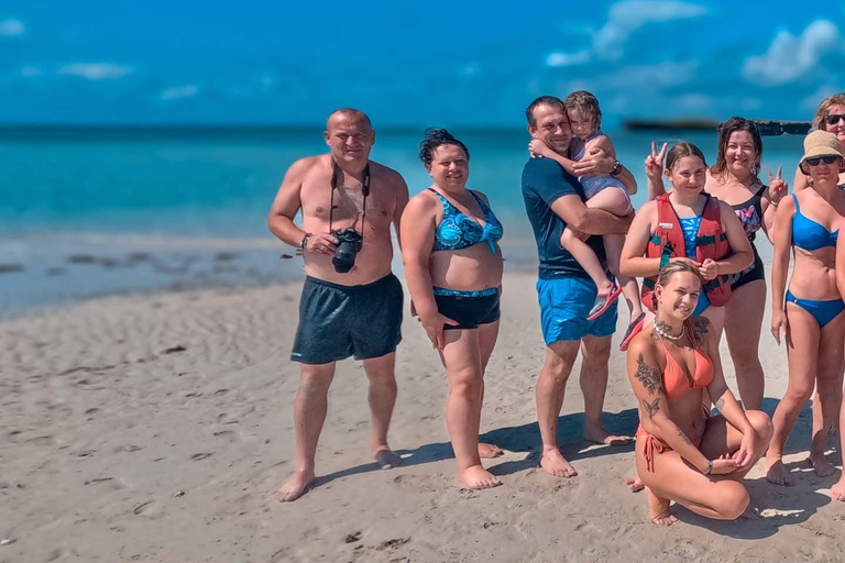 From Diani: Kenya's Ultimate Dolphin & Snorkeling Day Trip