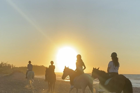جزيرة رودس: ركوب الخيل على الشاطئ عند غروب الشمس