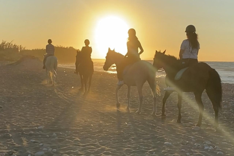 جزيرة رودس: ركوب الخيل على الشاطئ عند غروب الشمس