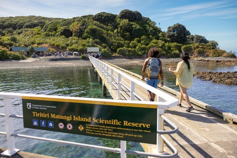 Auckland: Guided Snorkeling Tour and Island Exploration