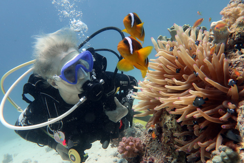 Scuba Diving in Negombo