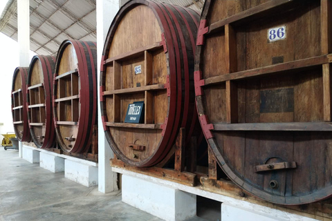 Pisco &amp; Wine Tasting Tour: Descobre a fascinante viagem do Pisco