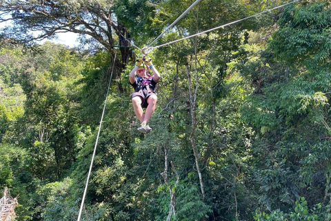 Manuel Antonio: Zipline Canopy Tour with Butterfly Garden