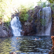 From Darwin: Litchfield National Park & Waterfalls Day Trip