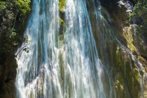 From Punta Cana: Samaná Whale Watching & Bacardi Island Tour From Punta Cana: Samaná Whale Watching & Bacardi Island Tour