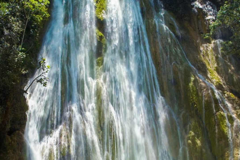 From Punta Cana: Samaná Whale Watching & Bacardi Island Tour From Punta Cana: Samaná Whale Watching & Bacardi Island Tour